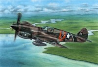 MW22 Special Hobby SH72338 P-40E Warhawk 'Claws And Teeth' Flugzeug 1/72