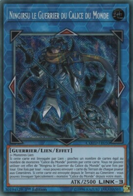 Yu Gi Oh! Deck Calice du Monde spielbereit auf Französisch