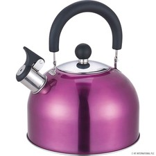 2L Stainless Steel Whistling Kettle – Fast Boiling Tea, Stovetop, Camping & Cara