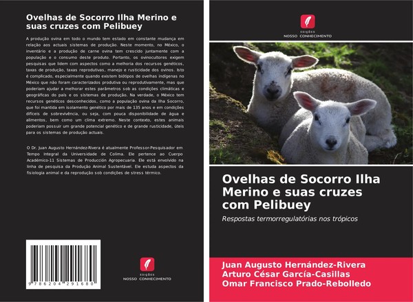 Juan Augusto HernáNdez-Rivera (U. A.) | Ovelhas De Socorro Ilha Merino E Suas...-image