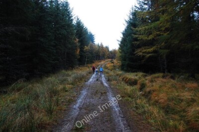 Foto 6x4 Auf dem Sika Trail Rosehall \/NC4602 Leicht zu Fuß, plus das toll c2009