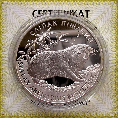 UCRANIA 10 HRYVEN - "RATÓN CIEGO DE ARENA" - 2005, PLATA, ESTUCHE, CERTIFICADO - Imagen 2 de 3