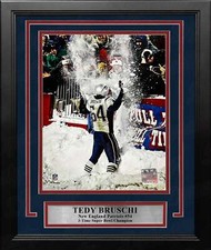 Tedy Bruschi Snow Celebration New England Patriots 8x10 Framed Football Photo