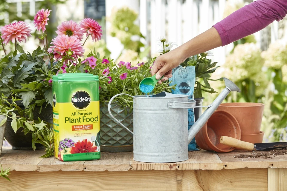 Miracle-Gro Water Soluble All Purpose Plant Food - Image 4 of 4