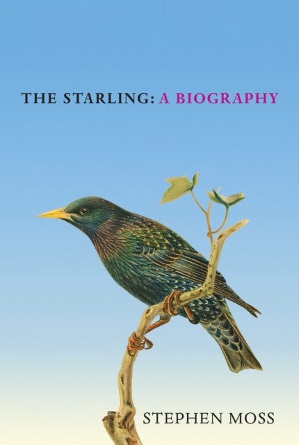 The Starling: The perfect gift for bird lovers: 6 (The Bird Biography Series, 6 - Image 4