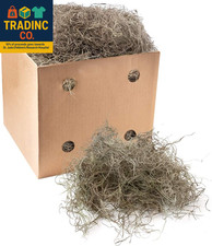 Preserved Natural Spanish Moss, Fresh Dried Shredded Loose Chunks, 3 LB Bulk Cas