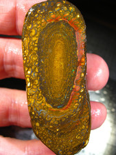 296 cts Australien Roh Koroit Matrix Opal Boulder Rough Sammler Schleifer VIDEO