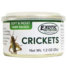 Canned Crickets 1.2 oz. - Hedgehogs, Sugar Gliders, Skunks, Reptiles, Birds