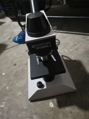 Reichert Jung Series 160 Microscope NEOVAR 2 - Bild 2 von 4