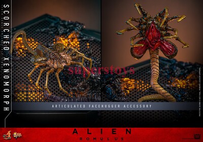 Presale Hot Toys MMS784 1/6 Alien: Romulus Scorched Xenomorph