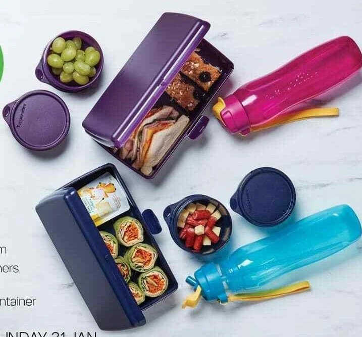 Details 130+ tupperware lunch bags online india esthdonghoadian
