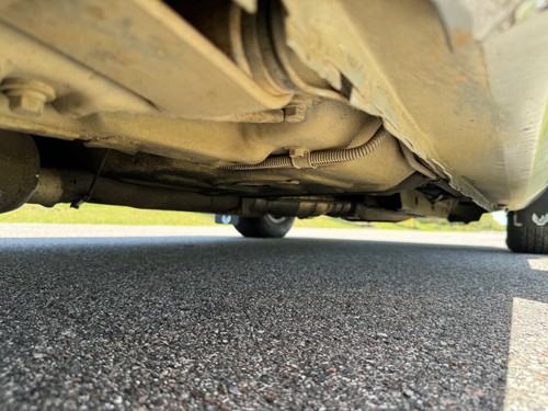 1979 Pontiac Trans Am TRANS AM 10TH Anniversary - Picture 15 of 35