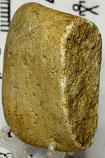 Native American Indian Authentic Paleo Artifact Stone Tool Carved, 4.1 oz • VA