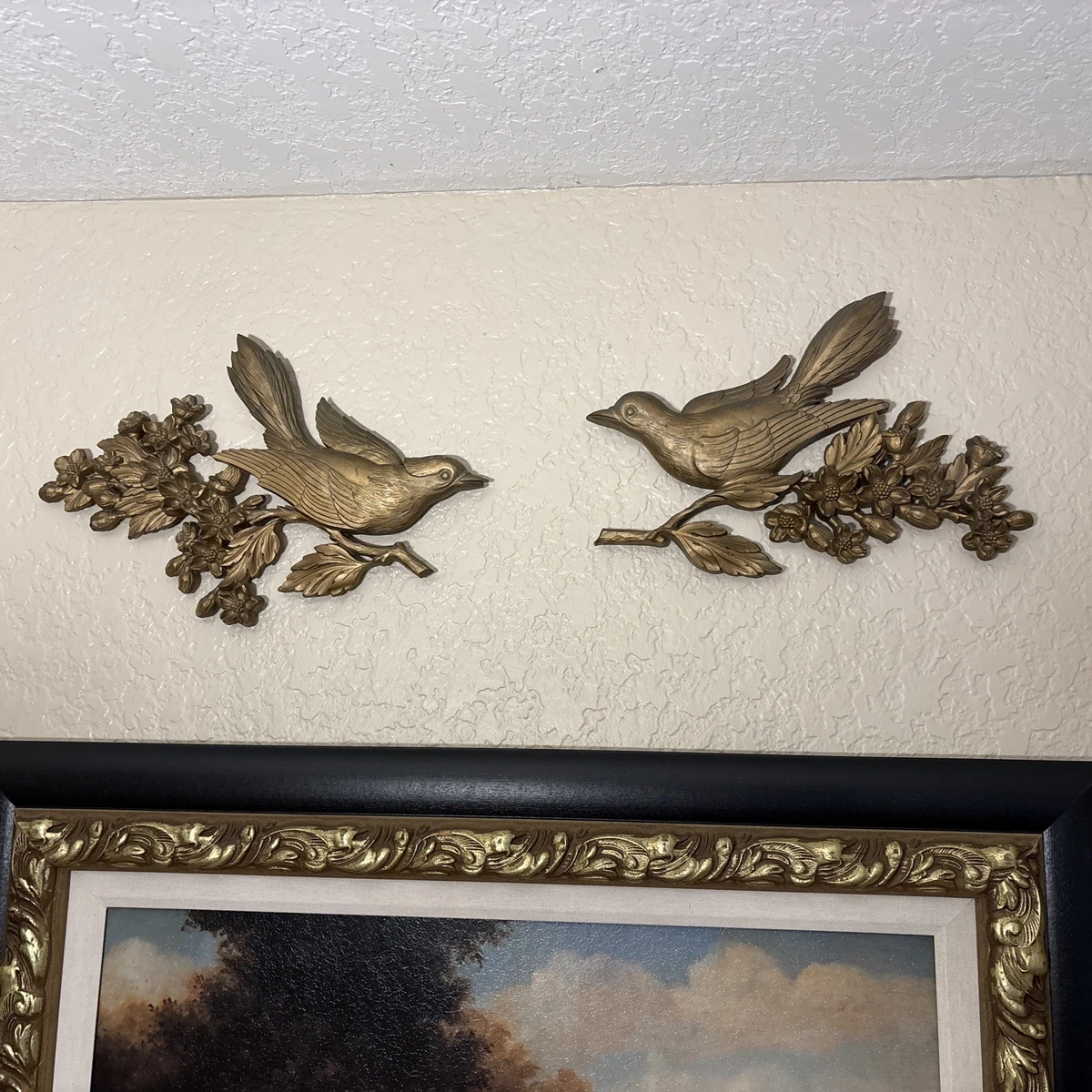 syraco products for sale | eBay