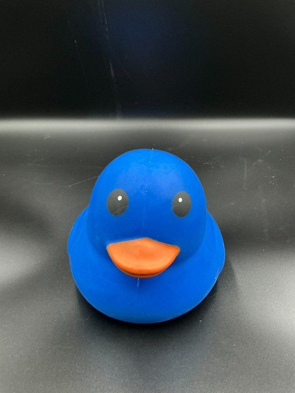Blue Squishy Duck NEW