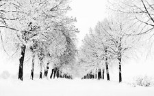 Landscape snow trees nature winter Custom Gaming Mat Desk