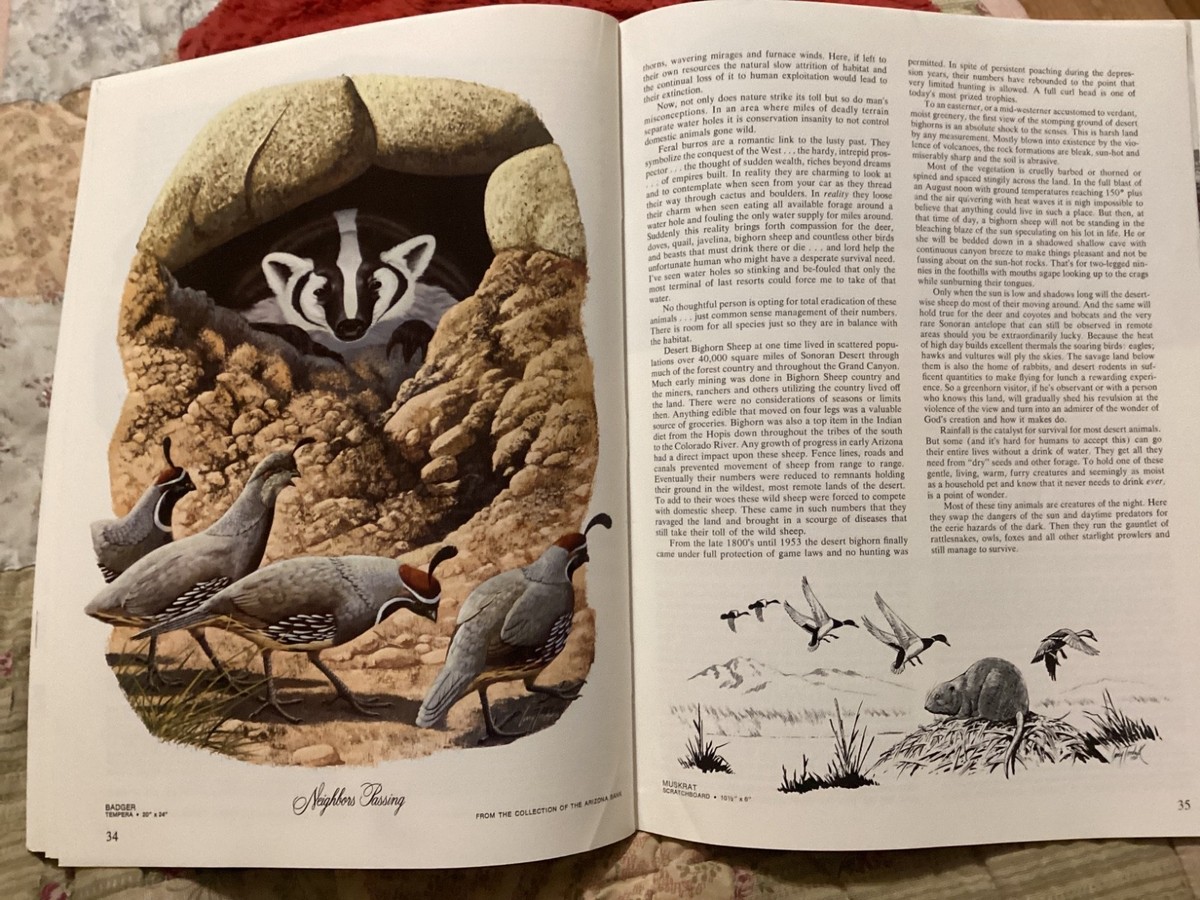 ARIZONA HIGHWAYS FEBRUARY 1976 ANIMALS OF ARIZONA BY LARRY TOSCHIK