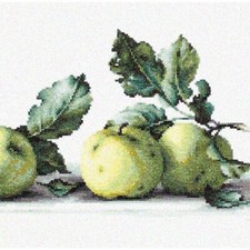 AppleArt Cross-Stitch Masterpiece Kit - Create Stunning Still Life with Apples 