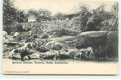 Seychelles - MAHE - Victoria - Botanical Station - ST143 - 095