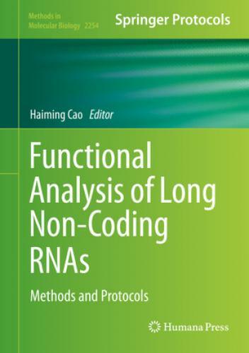 Thumbnail - Functional Analysis Of Long Non-coding Rnas Methods And Protocols 6149