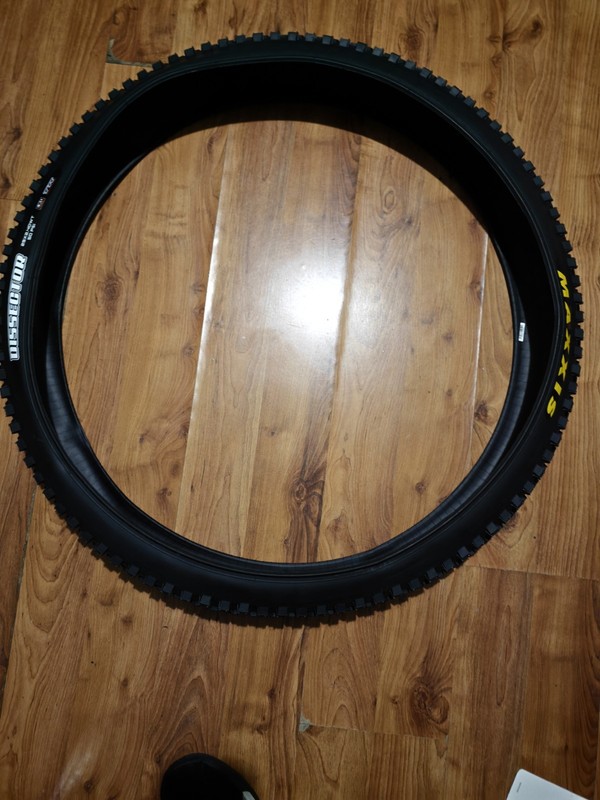Maxxis Dissector 29x2.4WT 50PSI Exo TR