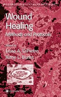Wound Healing ~ Aime L. Burns ~ 9781617372964