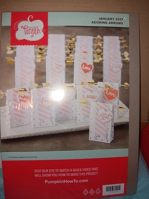 Paper Pumpkin Adoring Arrows Love Card Kit January 2017 Scrapbooking & Treat Bag