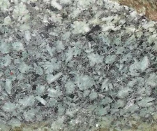 Gorgeous aqua-green CHRYSANTHEMUM STONE faced rough … 4.7 lbs … British Columbia