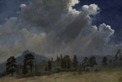 Vintage Large Trees-Clouds Landscape Painting Print-Blue-White-Gray-Earth Tones