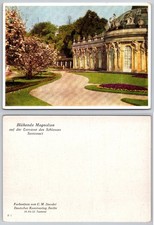 Sanssouci Palace Potsdam Postcard Blooming Magnolias Terrace C.M. Steudel Berlin