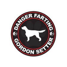 Danger Farting Gordon Setter