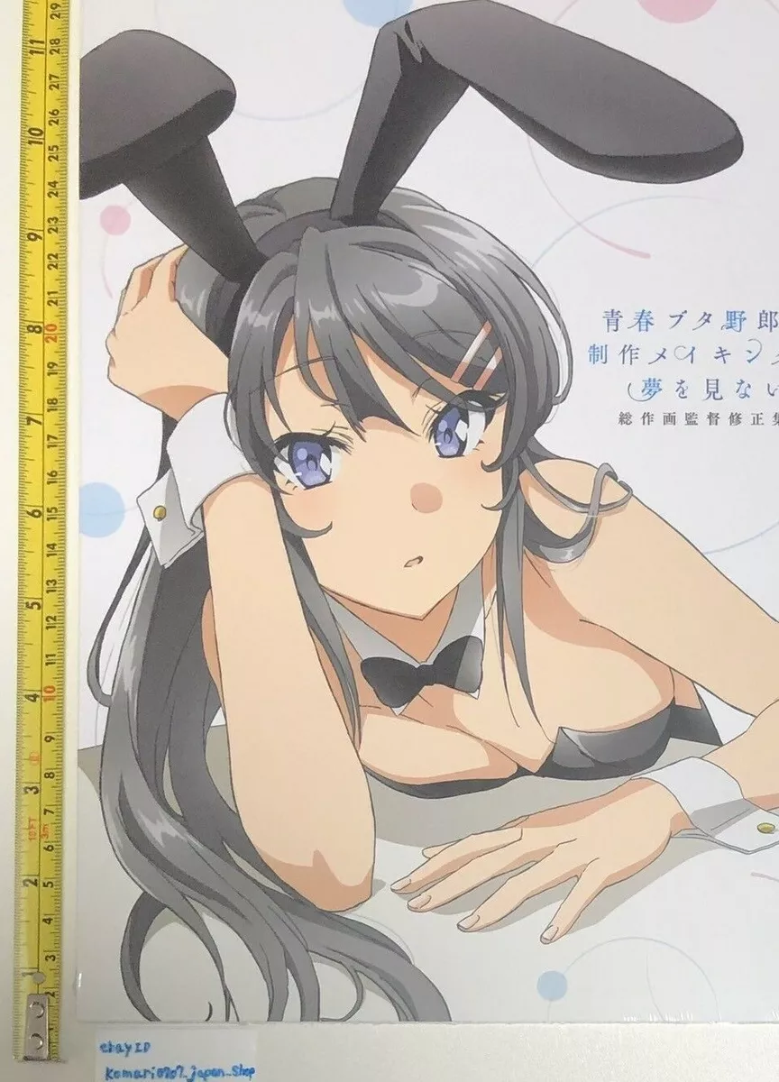 C97 Rascal Does Not Dream Seishun Buta yarou making art book anime manga