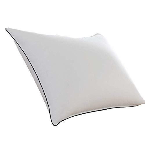 pacific coast feather best gusset pillow