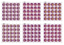 Hong Kong 2024 FULL S/S Disney Cartoon Mickey Mouse Donald Duck Stamp