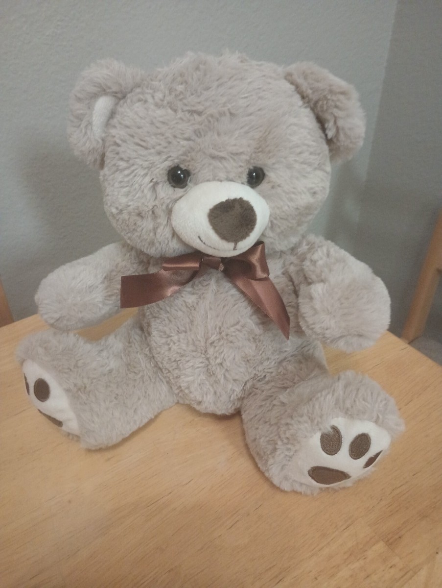 teddy $_57.JPG?set_id=880000500F