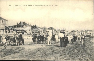 Les Sables-d Olonne Promenade a âne sur la Plage