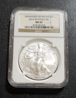 2015 W Burnished Silver Eagle NGC MS69