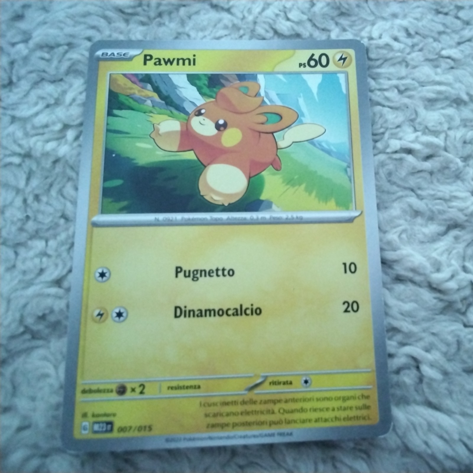 lotto carte pokemon