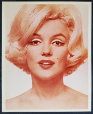 1960 Marilyn Monroe Eve Arnold 8x10 Portrait Photograph
