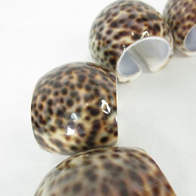 Tiger Cowrie Sea Shell Napkin Rings Holders Tigris Cypraea Set of 6 Philippines
