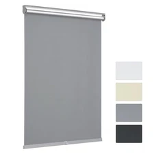 Changshade Cordless & Blackout Roller Shade, Room Darkening Rolled Up Shade, ...