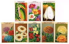 ORIGINAL VINTAGE LOT OF 8 EUROPEAN SEED PACKET LABELS FLOWERS C1910 GARDENING