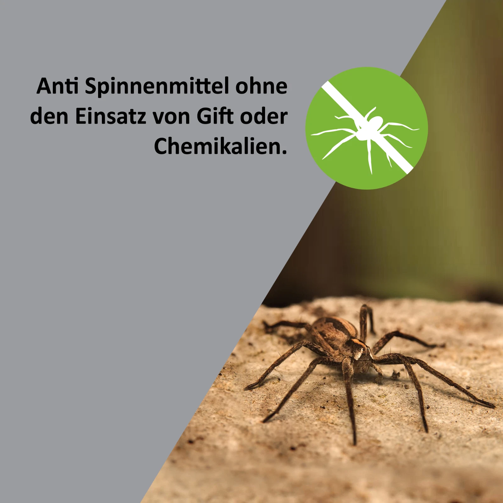 Bild 6 von 6