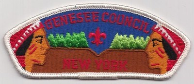 CSP - GENESEE COUNCIL - S-1 - MERGED IN 1993 - FIRST ISSUE CSP