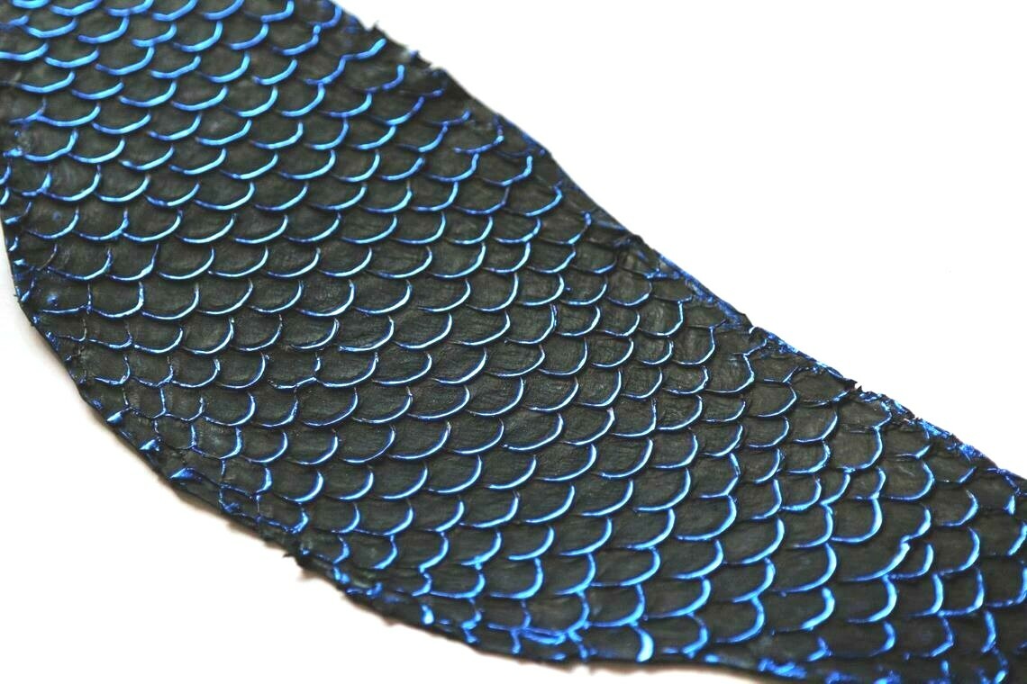 Piel de pez real TILAPIA azul metálico negro