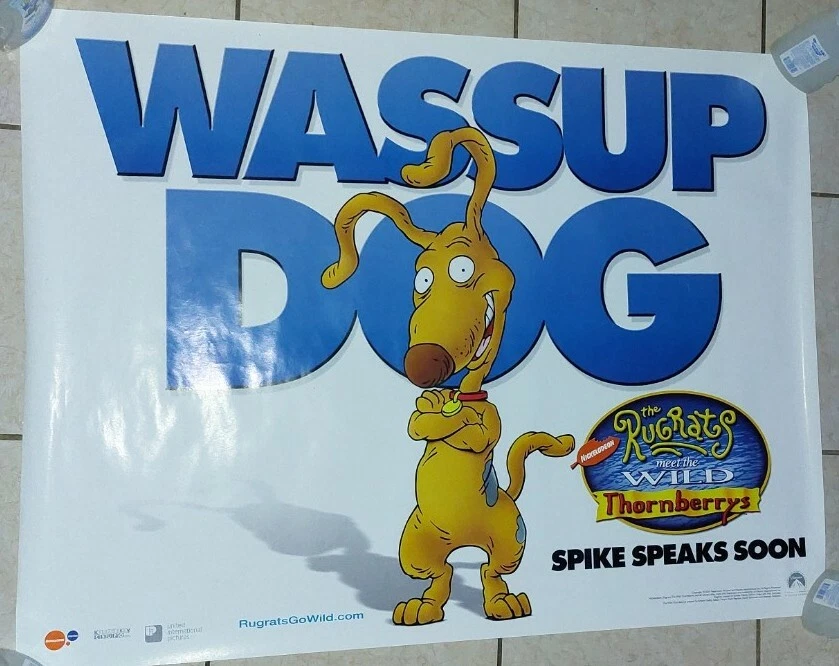 Rugrats Go Wild Poster