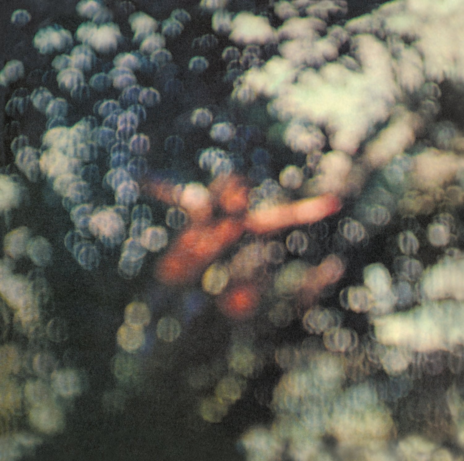 Pink Floyd Obscured By Clouds LP Vinyl NEW