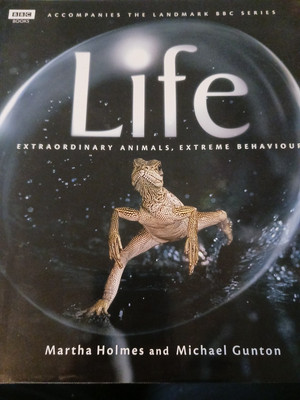 Life Extraordinary  Animals  Extreme Behavior  Martha Holmes