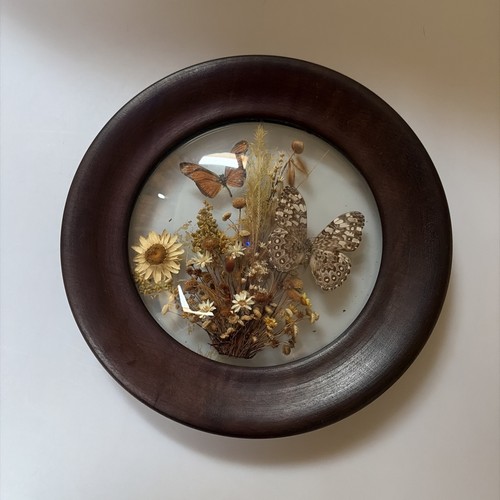 Floral Dried Flowers Butterflies Brazilia Collection By Dunston Made In Brazil