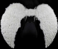 Large Feather Angel Wings LOCAL PICKUP ONLY 